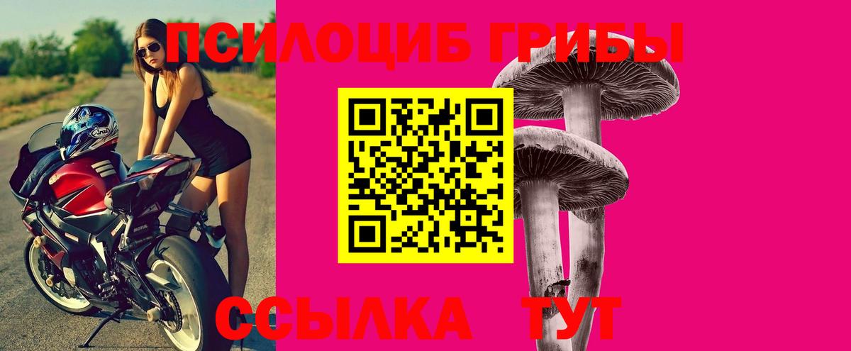 Псилоцибиновые грибы GOLDEN TEACHER Чайковский
